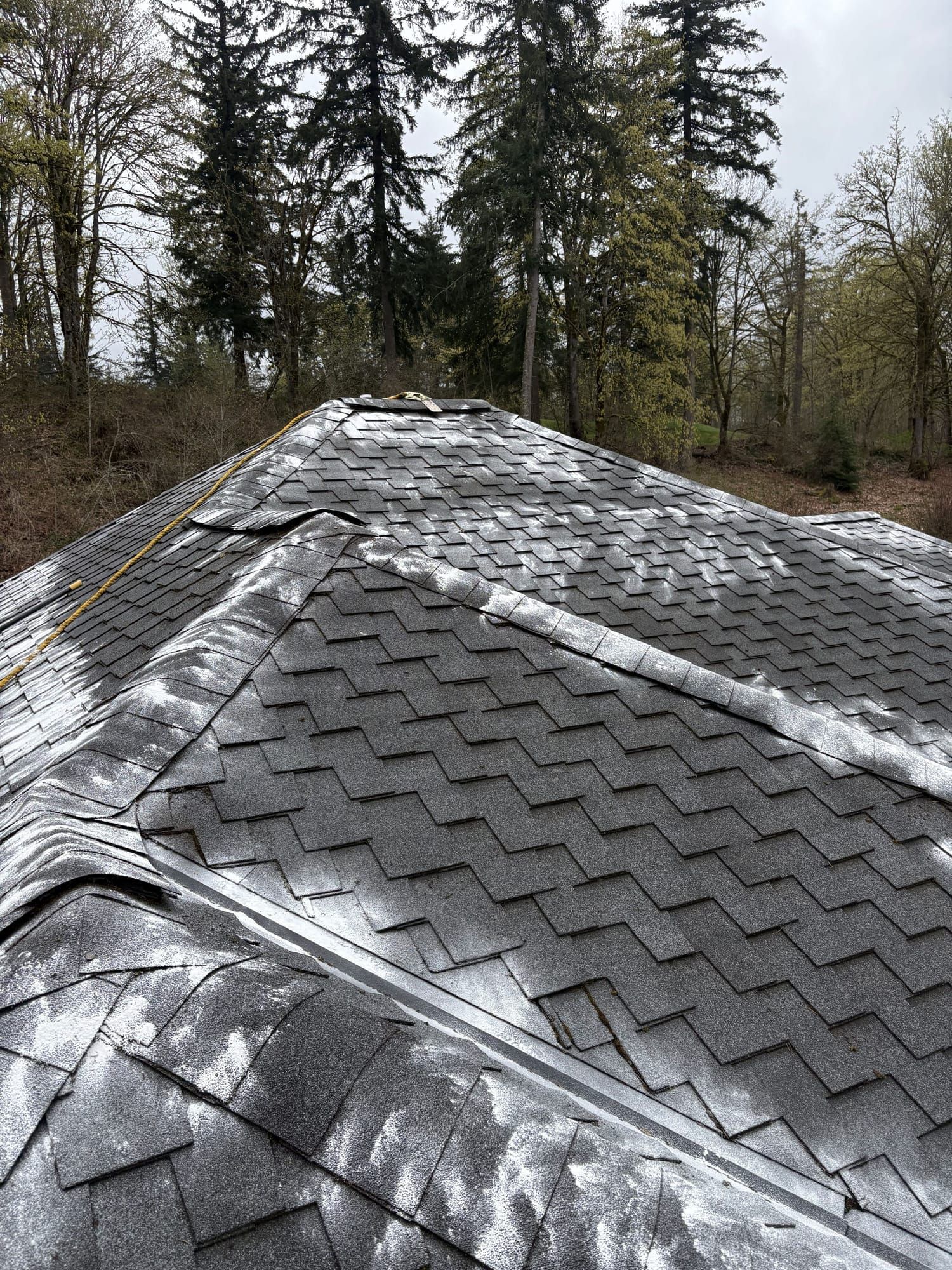 Property exterior after Rainlife Washing service