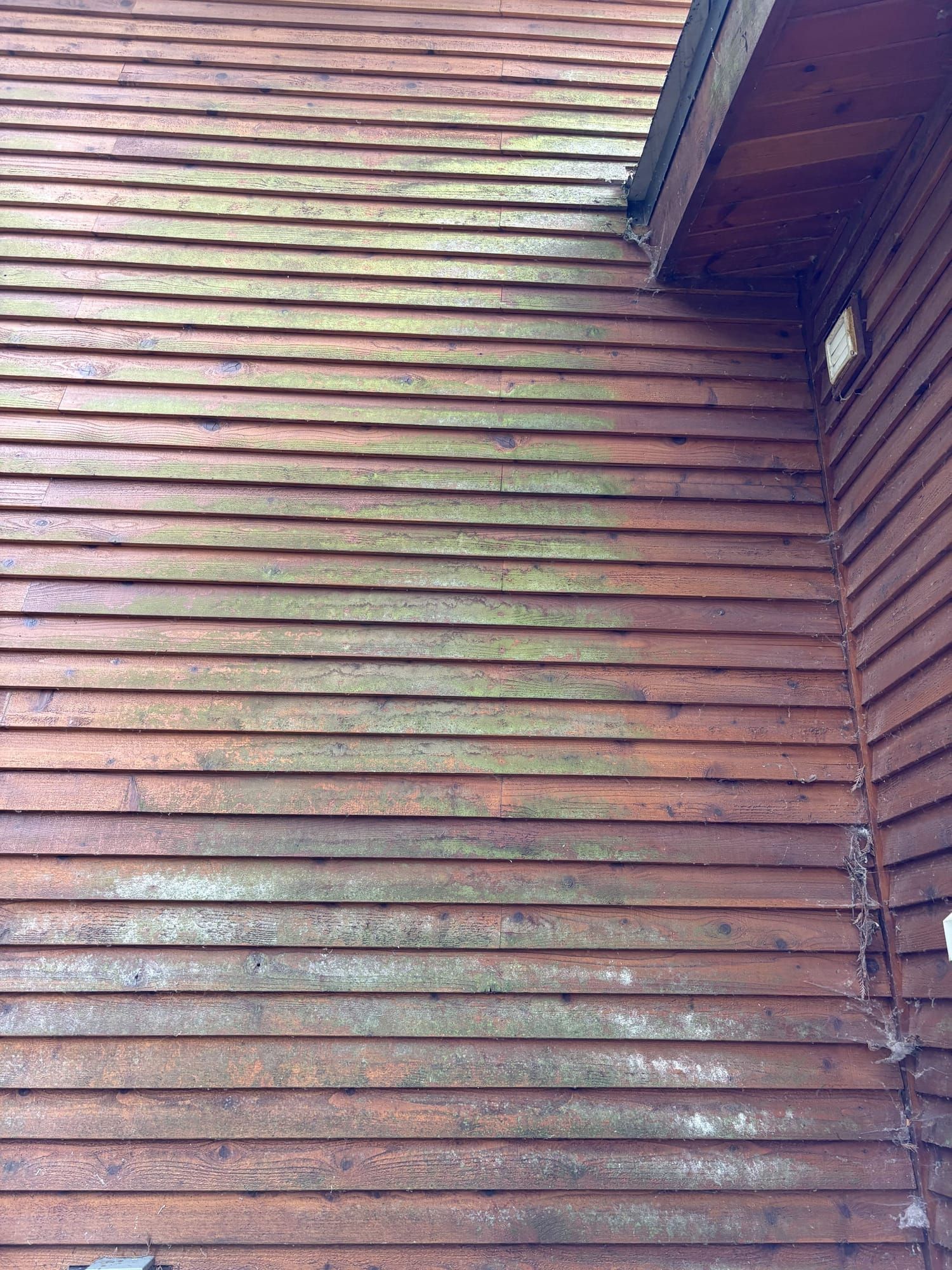 House exterior siding before soft wash cleaning