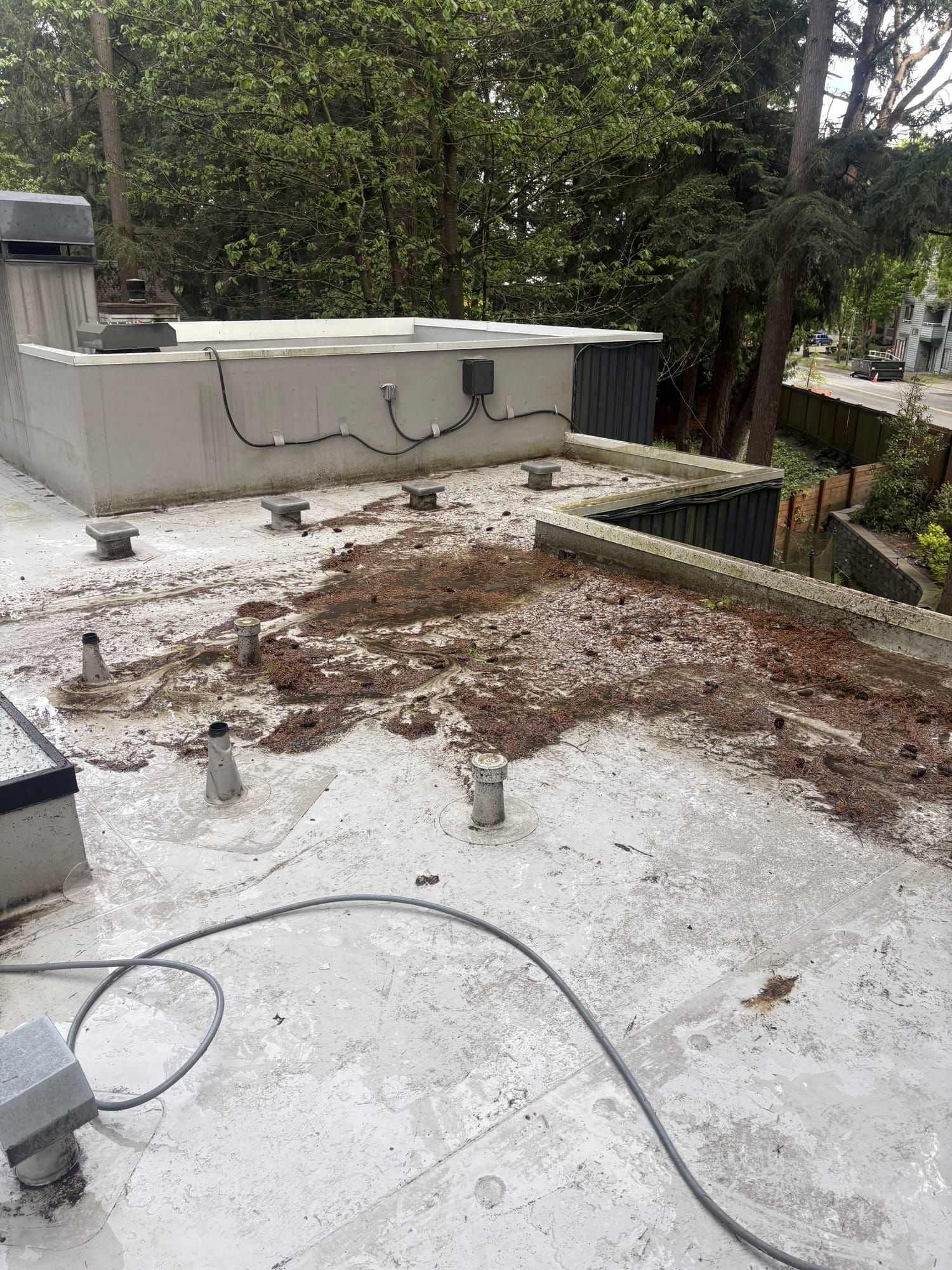 Flat roof before soft wash cleaning