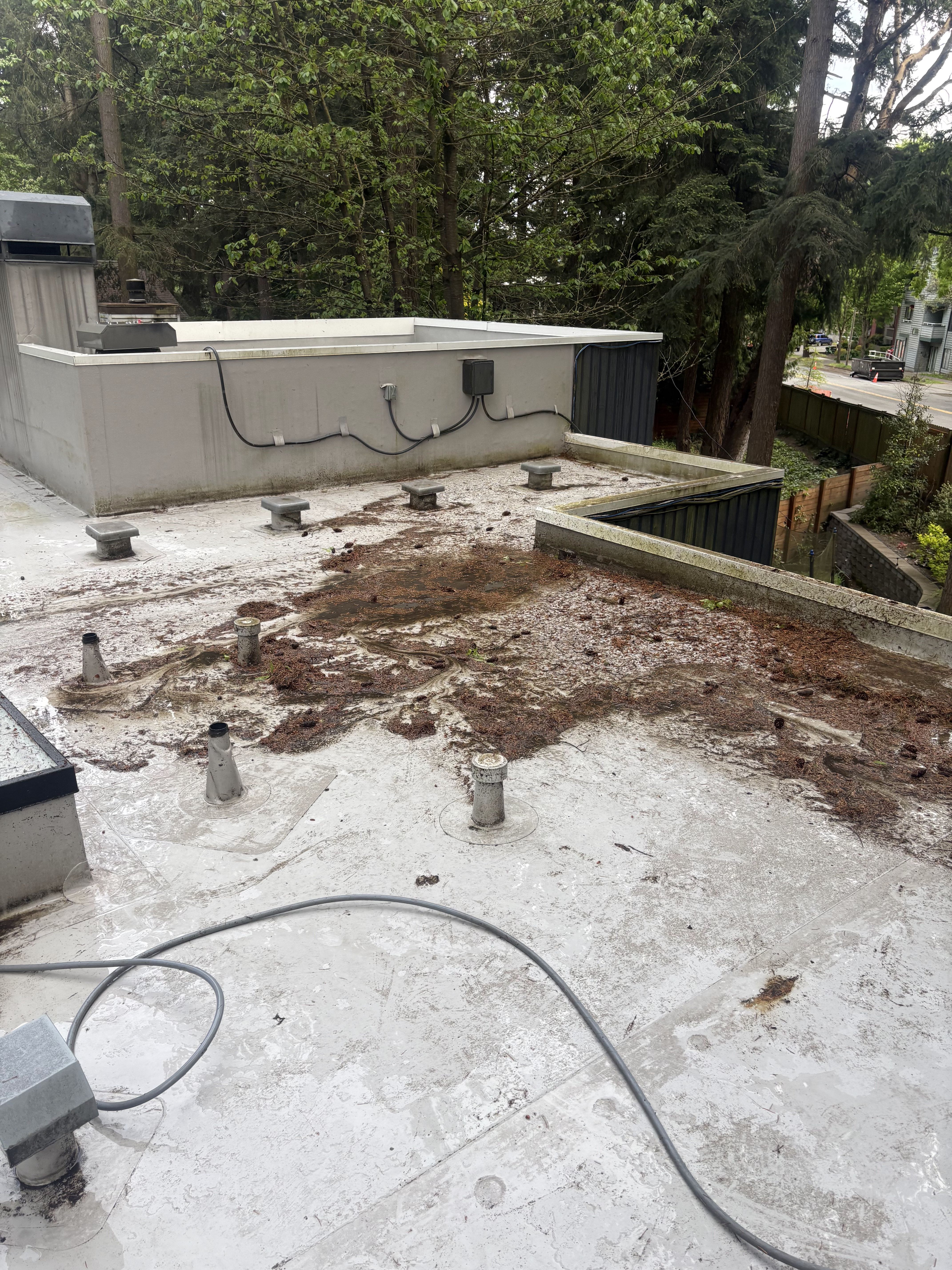 Property before cleaning