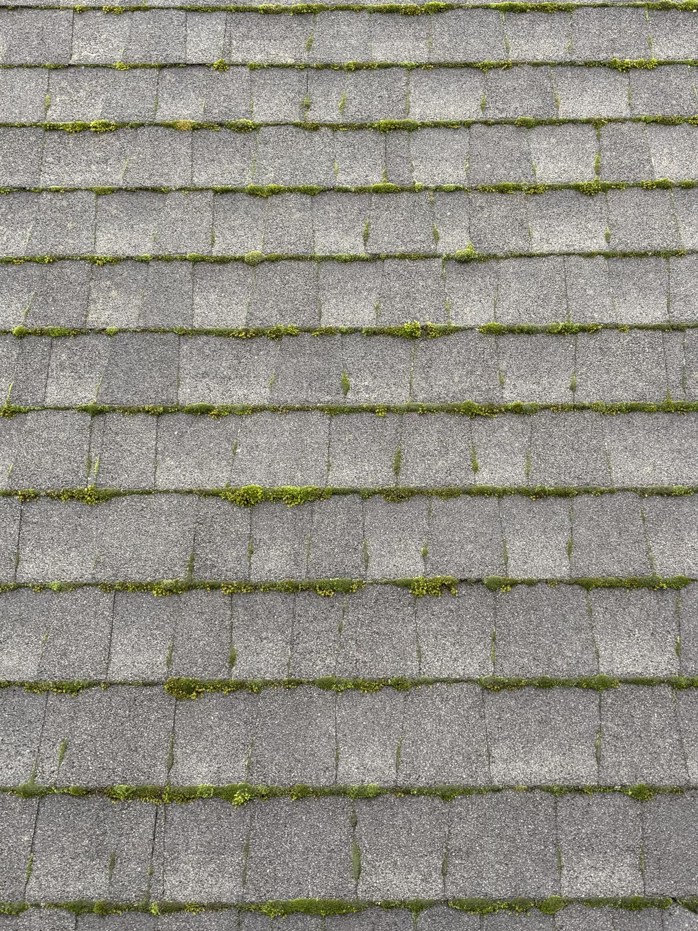 Surface before washing