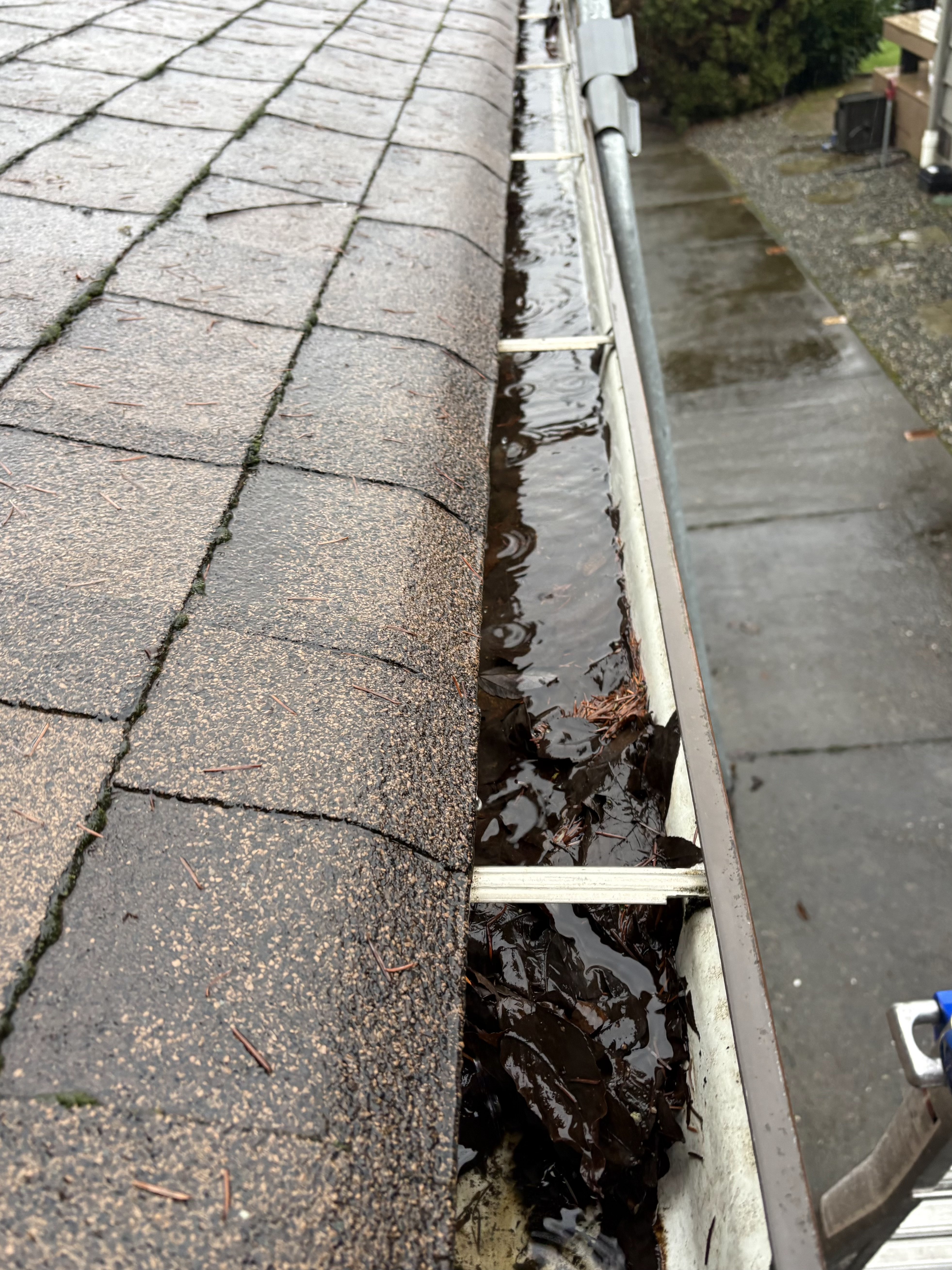 Property before exterior cleaning